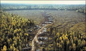 http://lesprominform.ru/uploads/images/lpi108/r6.jpg
