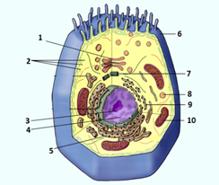 hello_html_m4b9a07da.png