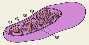 hello_html_m173dcd2b.jpg