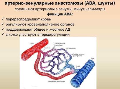 http://present5.com/presentation/-37203142_77057225/image-97.jpg