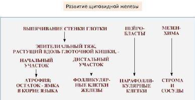 C:\Users\user\Desktop\image-34.jpg
