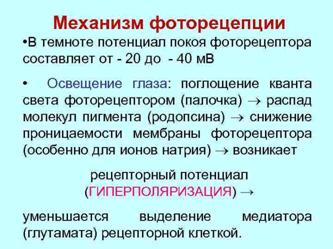 http://present5.com/presentation/180356681_399966817/image-52.jpg