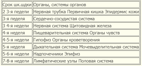 Снимок