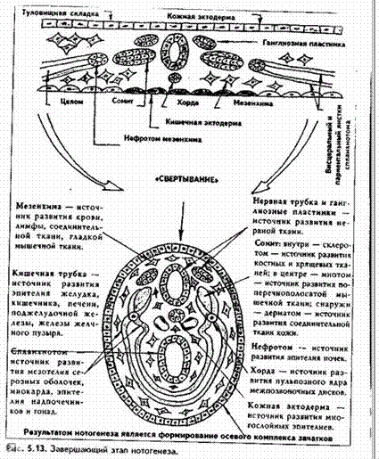 Снимок