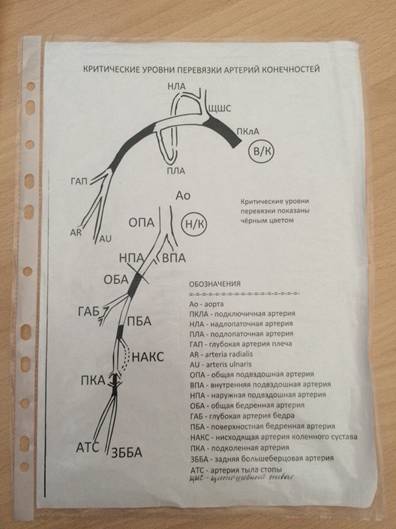 C:\Users\Леночка\Desktop\топка\IY7GqsInWVU.jpg