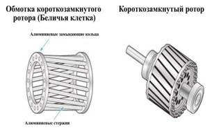 Однофазный асинхронный двигатель с короткозамкнутым ротором с рабочим  напряжением 220 вольт — устройство и принцип работы | Электроинформация |  Яндекс Дзен