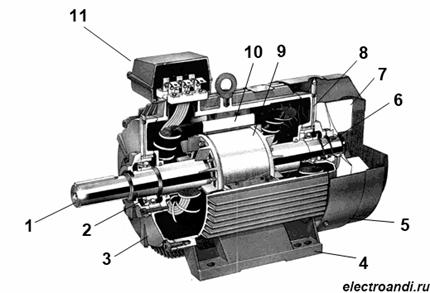 Устройство трехфазного асинхронного двигателя