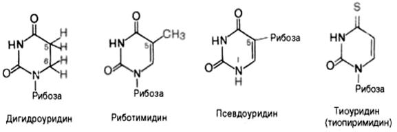 минорные%20основания