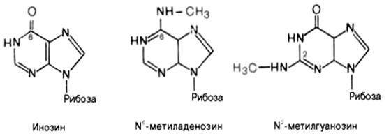 минорные%20основания%202