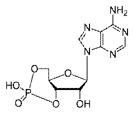 Cyclic-adenosine-monophosphate-2D-skeletal