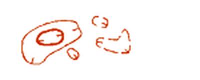 C:\Users\Слава\Documents\обучение-рисунки\0175.png