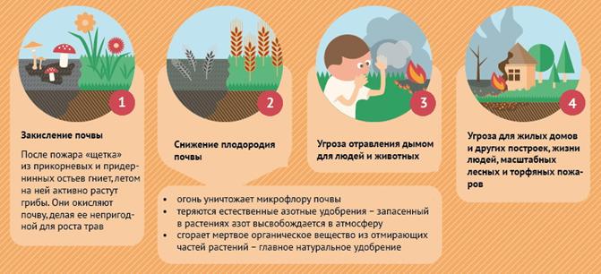 E:\на карантине\Зарница 2020\Пожарная безопасность\Б.8.1. Почему нельзя поджигать сухую траву.jpg