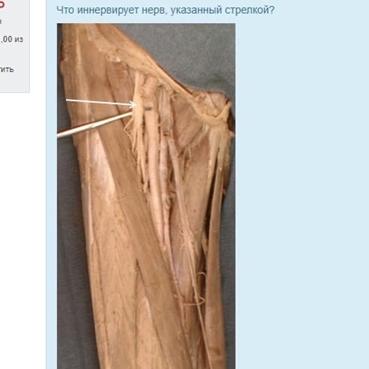 https://sun9-40.userapi.com/PPbTX6xNFYuLj2kx-yX1s8hds_452mDvfJurlg/Q2Ac4dV98NI.jpg