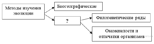 https://bio-ege.sdamgia.ru/get_file?id=36643
