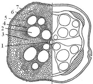G:\R_4_1_clip_image004[1].jpg
