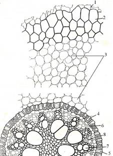 G:\R_4_1_clip_image003[1].jpg