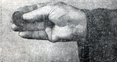 Рис. 5