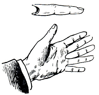 Рис. 262