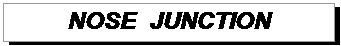 Подпись: NOSE  JUNCTION  
 
