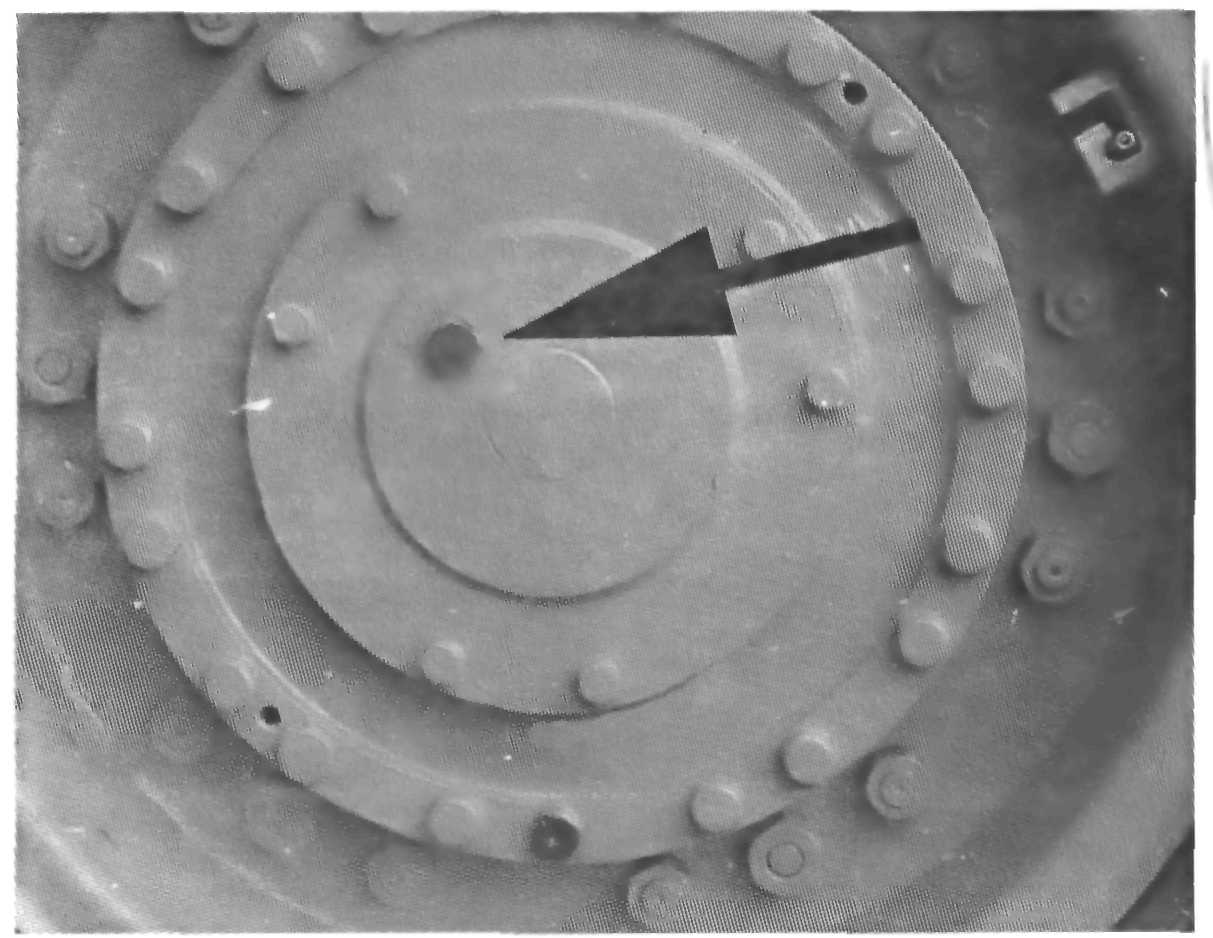 amko1-196.jpg