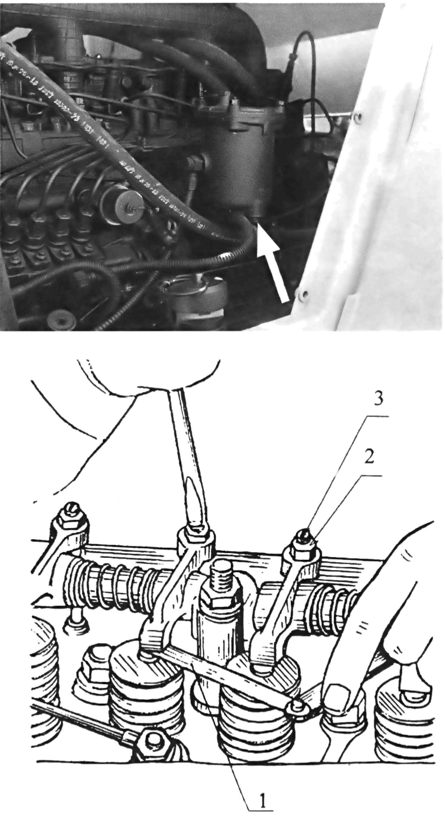 amko1-224.jpg