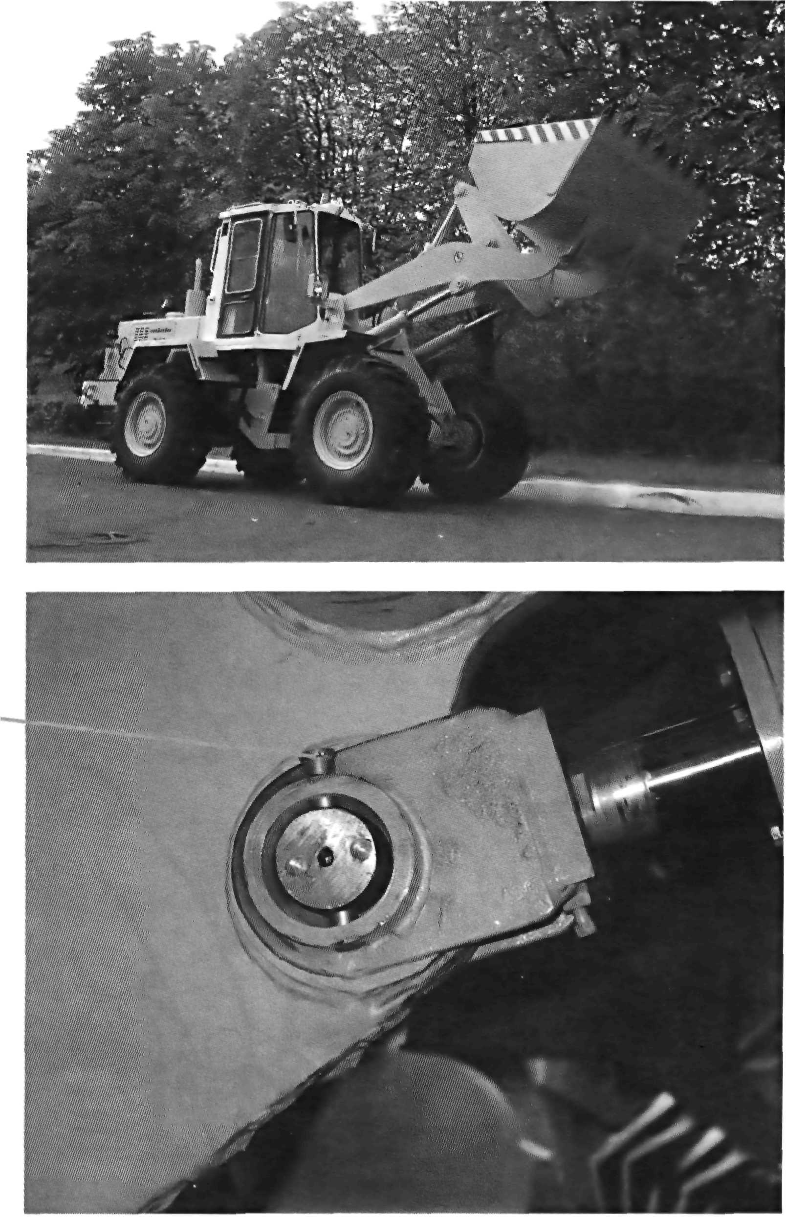 amko1-225.jpg