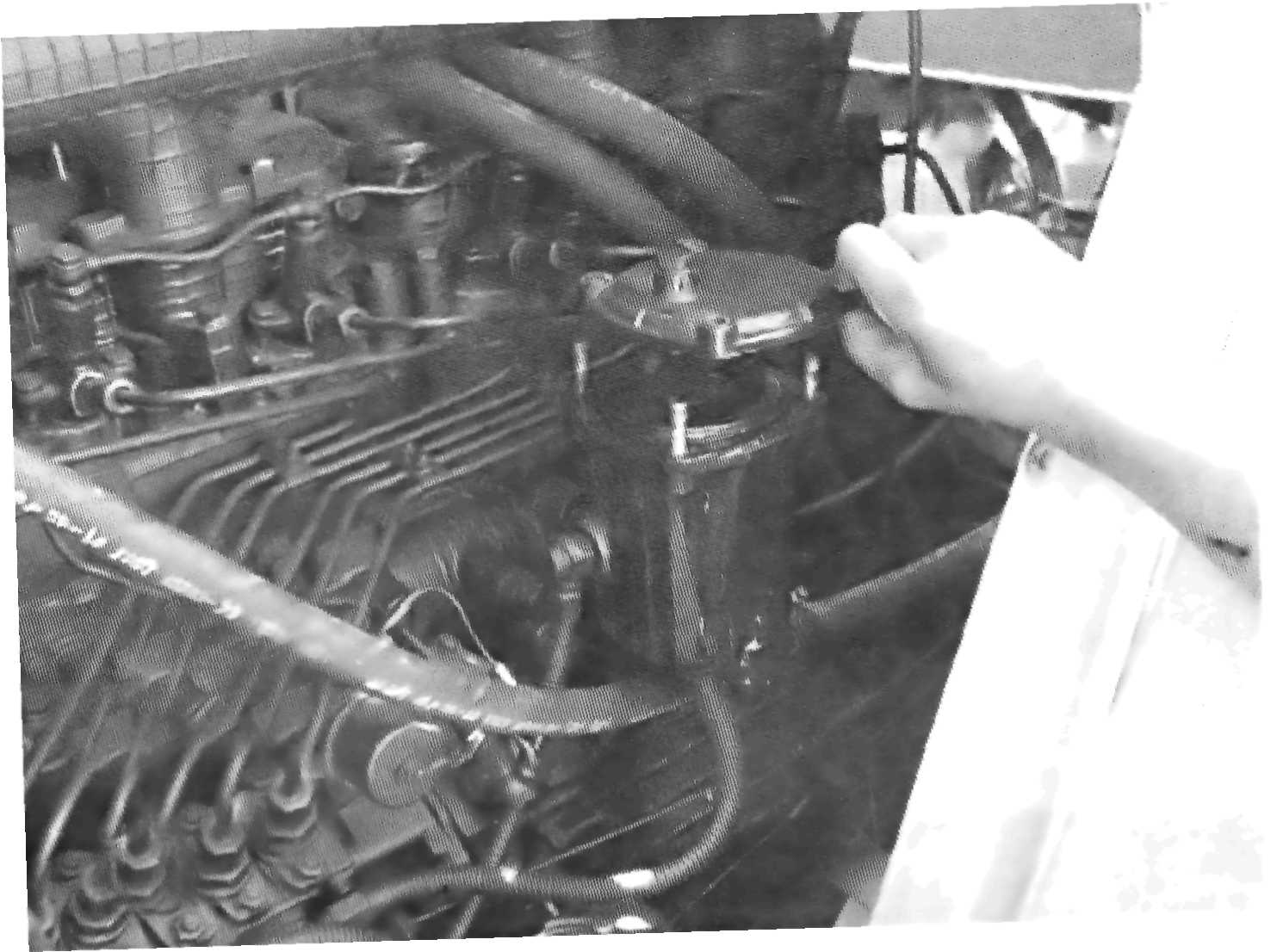 amko1-238.jpg