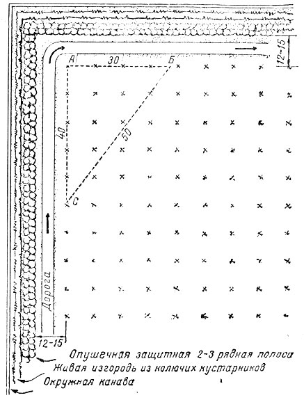 ����������������� �������� ������� ��� ������� ����. ������ ���� �������� ��� ������ �����