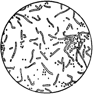���. 155. �������� �����