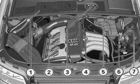 2.0 ������� ���� � ������������ Audi A4