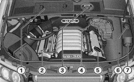 2.0 ������� ���� � ������������ Audi A4