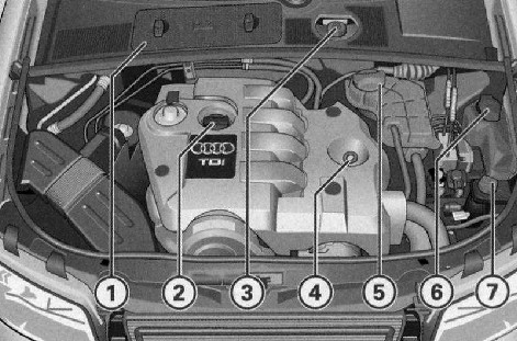 2.0 ������� ���� � ������������ Audi A4