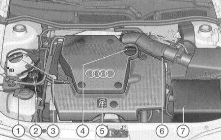 3.1 ������ �������� ������������ ���� A3