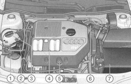 3.1 ������ �������� ������������ ���� A3