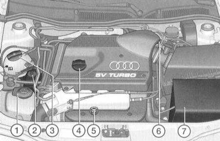 3.1 ������ �������� ������������ ���� A3