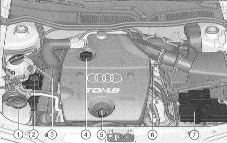 3.1 ������ �������� ������������ ���� A3