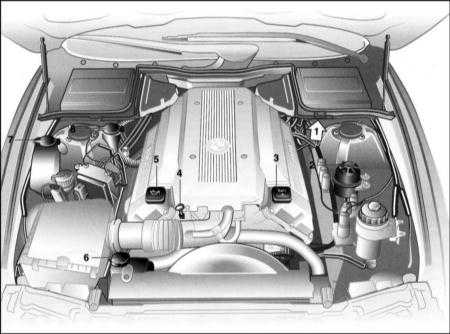 3.1 График текущего обслуживания БМВ 5 (E39)