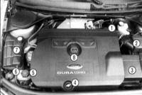 5.0 Двигатели Ford Mondeo 2000-2007