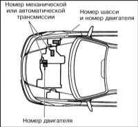 1.3 Идентификационные номера автомобиля Хонда Аккорд 1998