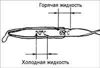10.2 Проверка уровня и замена жидкости в автоматической коробке передач Киа Сефия