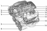 4.6.1 Дизельные двигатели Mercedes-Benz W203