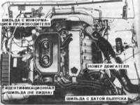 1.2 Идентификационные номера автомобиля Ниссан Patrol