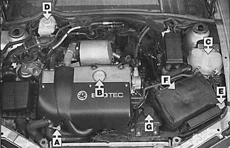 2.1.1 Места еженедельных проверок Opel Vectra B
