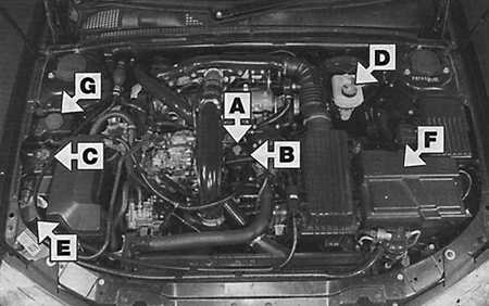 1.1.6 Места еженедельной проверки Peugeot 406
