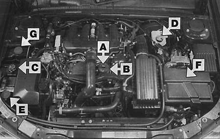 1.1.6 Места еженедельной проверки Peugeot 406