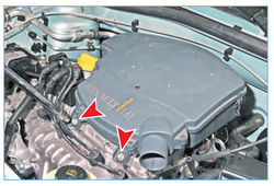 Stepway 117-8.jpg