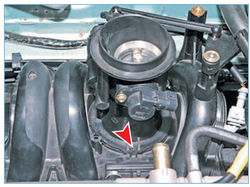Stepway 120-2.jpg
