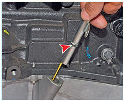 Stepway 142-2.jpg