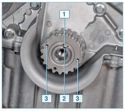 Stepway 145-2.jpg