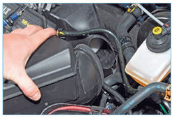 Stepway 174-6.jpg